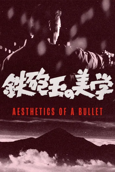 Aesthetics of a Bullet