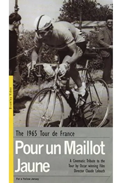 For a Yellow Jersey