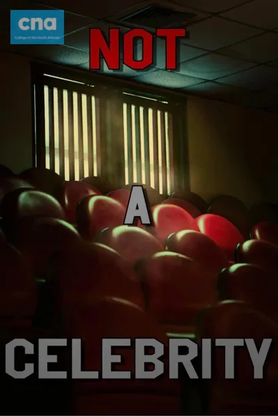 Not A Celebrity