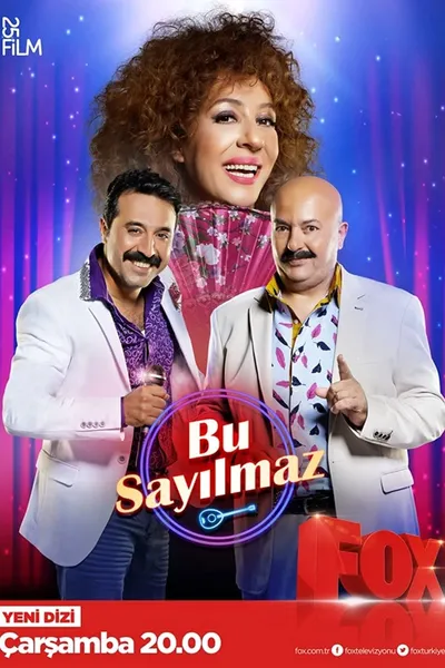 Bu Sayılmaz