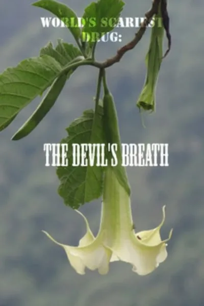 World's Scariest Drug: The Devil's Breath