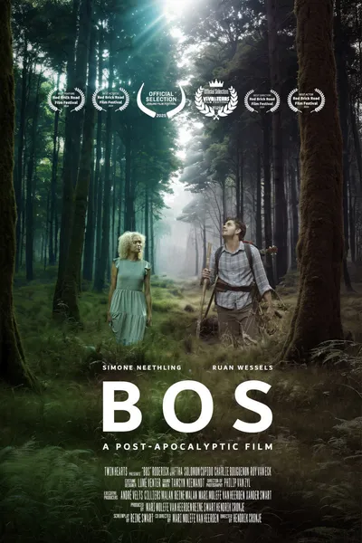 The Forest