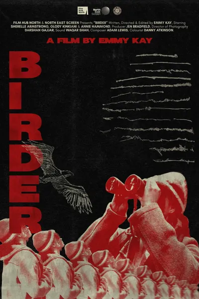 Birder