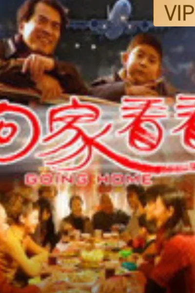 回家看看