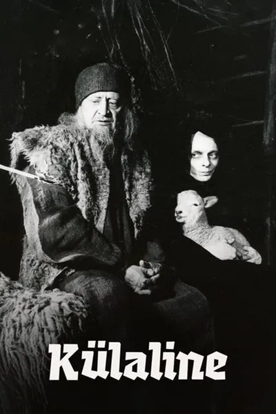 The Visitor
