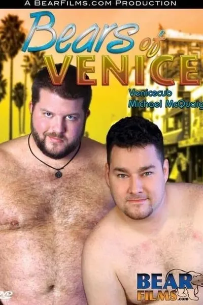 Bears of Venice