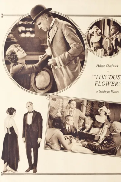 The Dust Flower