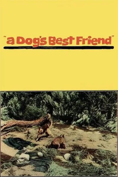 A Dog's Best Friend