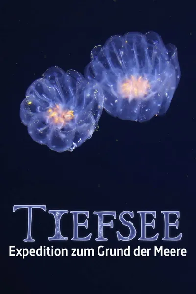 Fascination of the Deep Sea