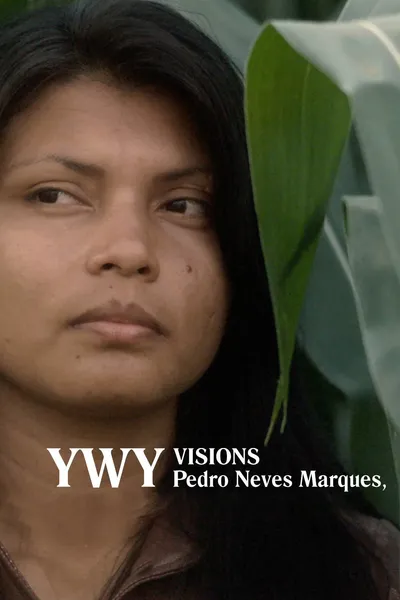 YWY, Visions