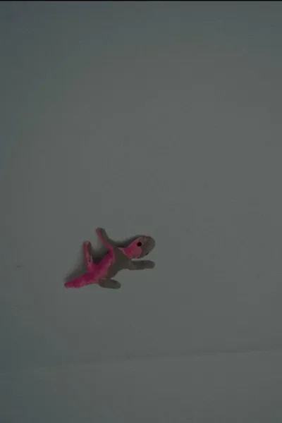 Le Lézard