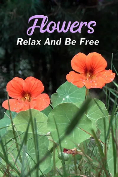 Flowers: Relax and Be Free