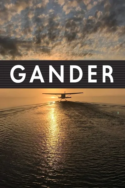 Gander International: The Airport in the Middle of Nowhere