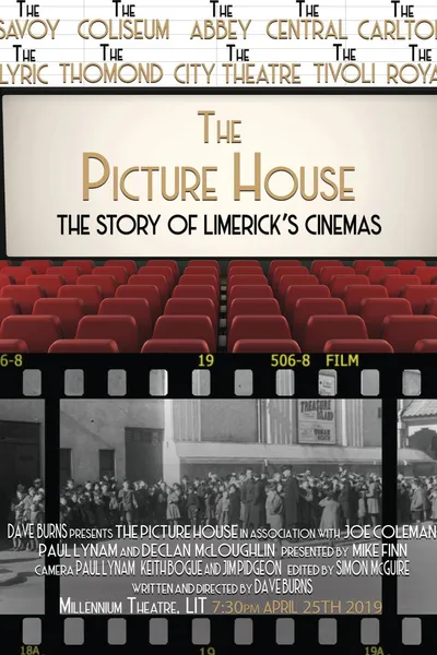 The Picture House: The Story of Limerick's Cinemas