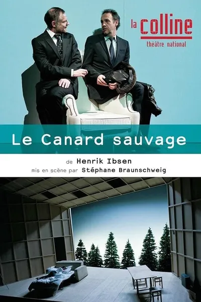 Le Canard sauvage