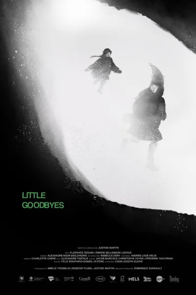 Little Goodbyes