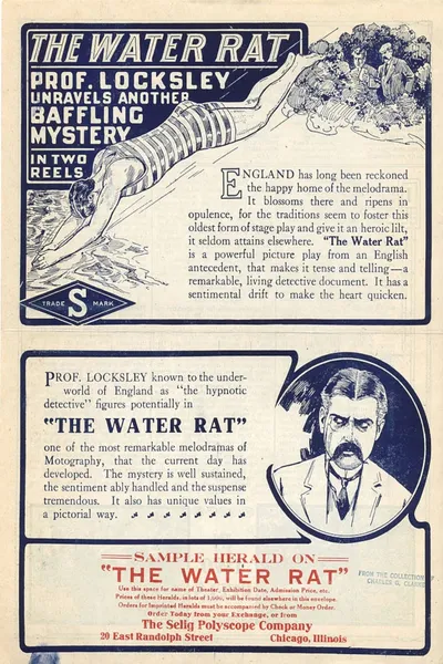The Water Rat