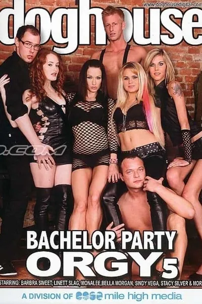 Bachelor Party Orgy 5