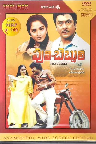 Puli Bebbuli