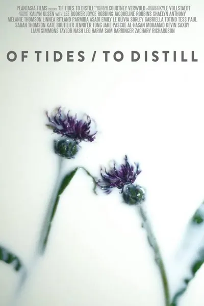 Of Tides/To Distill