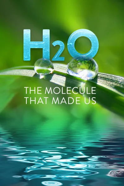 H2O: The Molecule that Made Us
