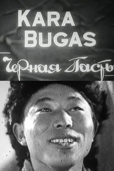 Kara Bugas