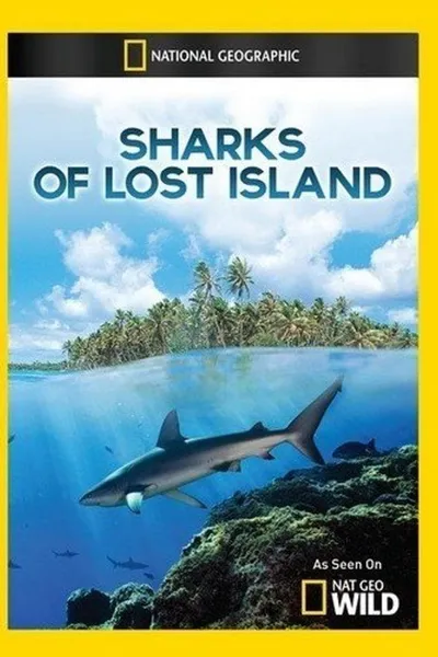 Sharks of Lost Island