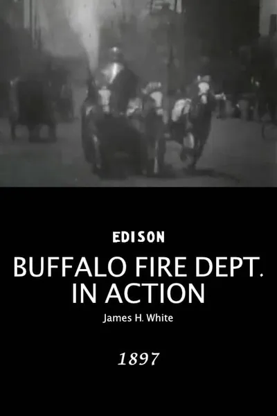 Buffalo Fire Department in Action