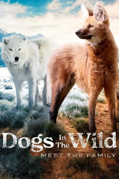 Dogs in the Wild: Meet the Family
