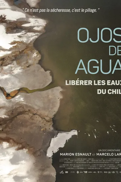 Ojos de Agua: Freeing the Waters of Chile