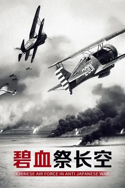 碧血祭长空