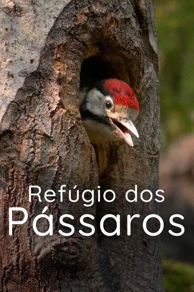 Refúgio dos Pássaros