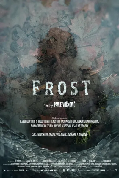 Frost