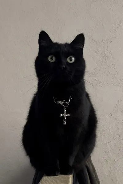 Jonsi
