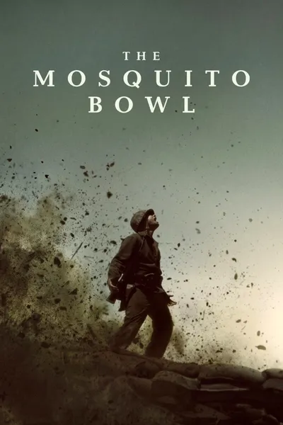 The Mosquito Bowl