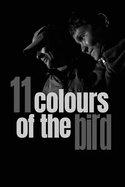 11 Colours of the Bird