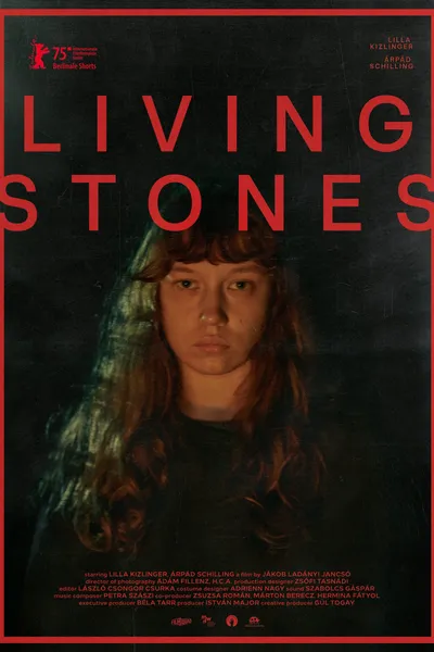 Living Stones