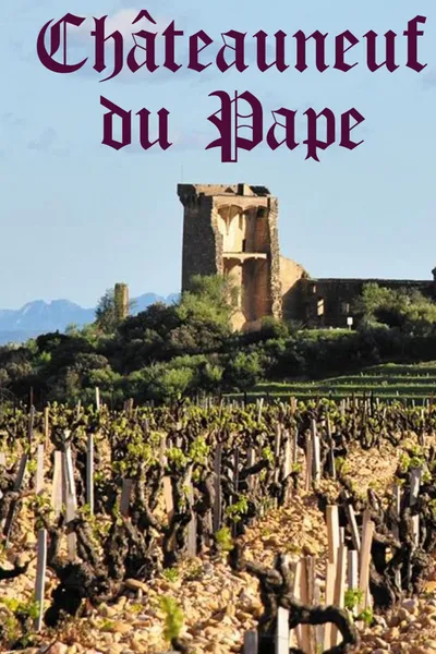 Château Neuf Du Pape : A Success Story