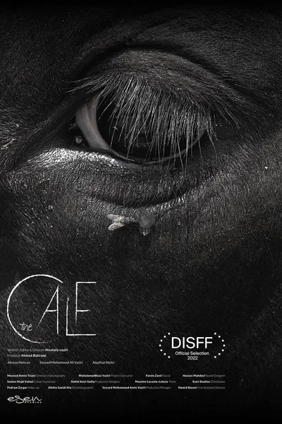 The Calf