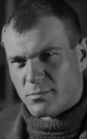 Vladimir Voyshvillo