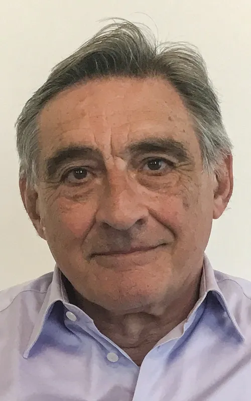 Ahmet İnsel