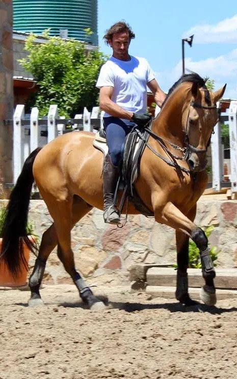 Luis Miguel Arranz