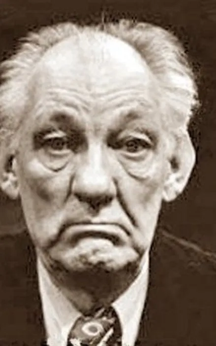 Johan te Slaa