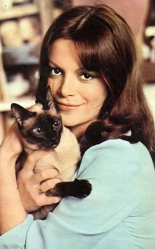 Françoise Dorner