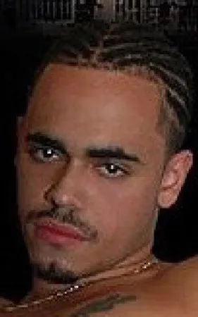 Latin Stallion