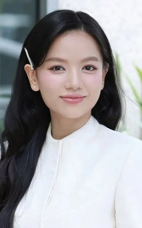 Lê Hạ Anh