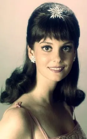 Lesley Ann Warren