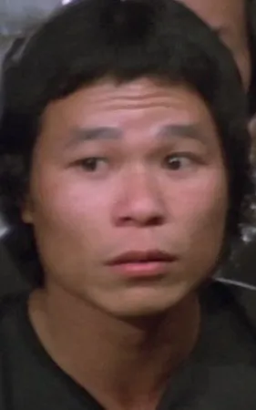 Chan Ng-Lung