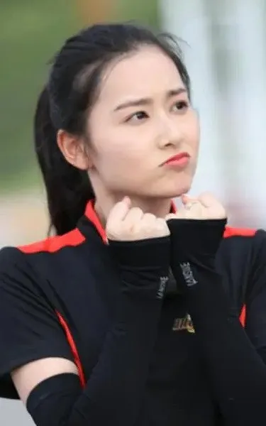 Pan Shaojun