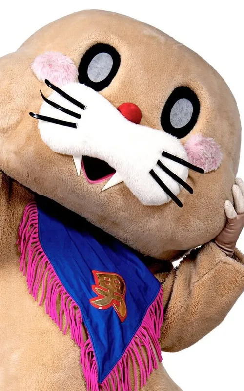 Pokotan